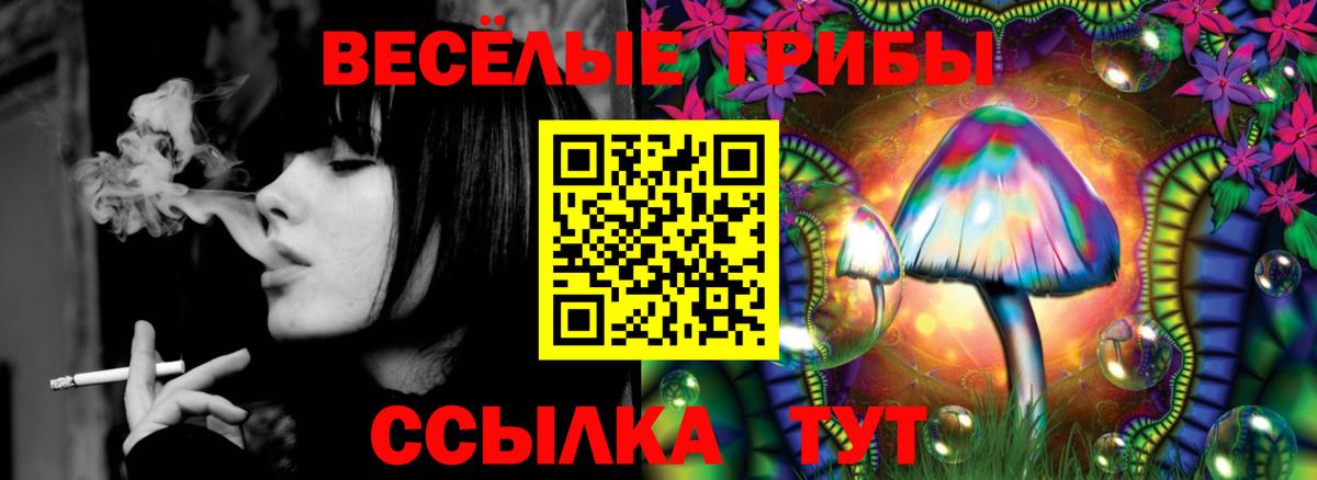 Севастополь  Галлюциногенные грибы MAGIC MUSHROOMS  Вход с VPN 